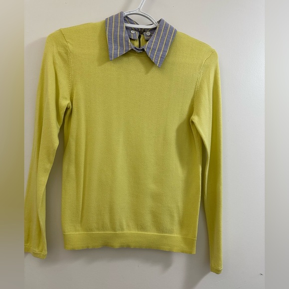 Alice + Olivia Yellow Crewneck Sweater with Striped Collar - Picture 1 of 3